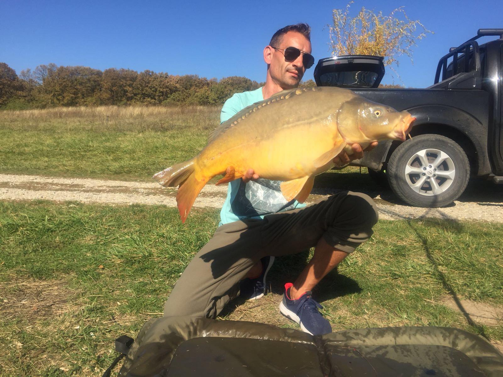 Fish - 331ac78c-915f-4b8e-ab41-ab7d38463a31.jpeg